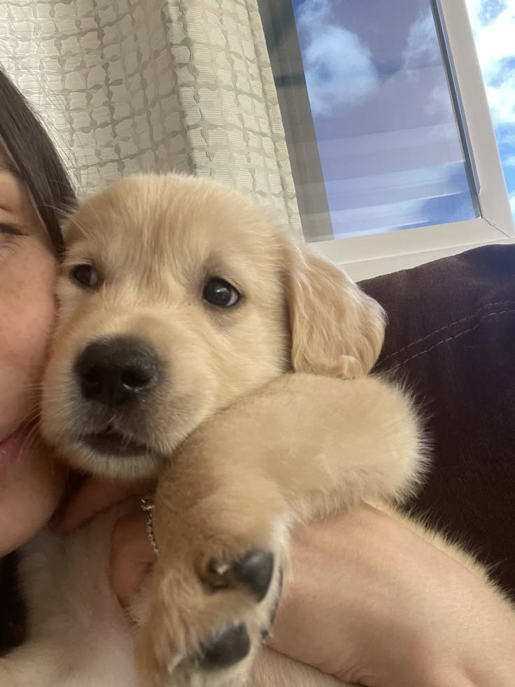 Simba 5