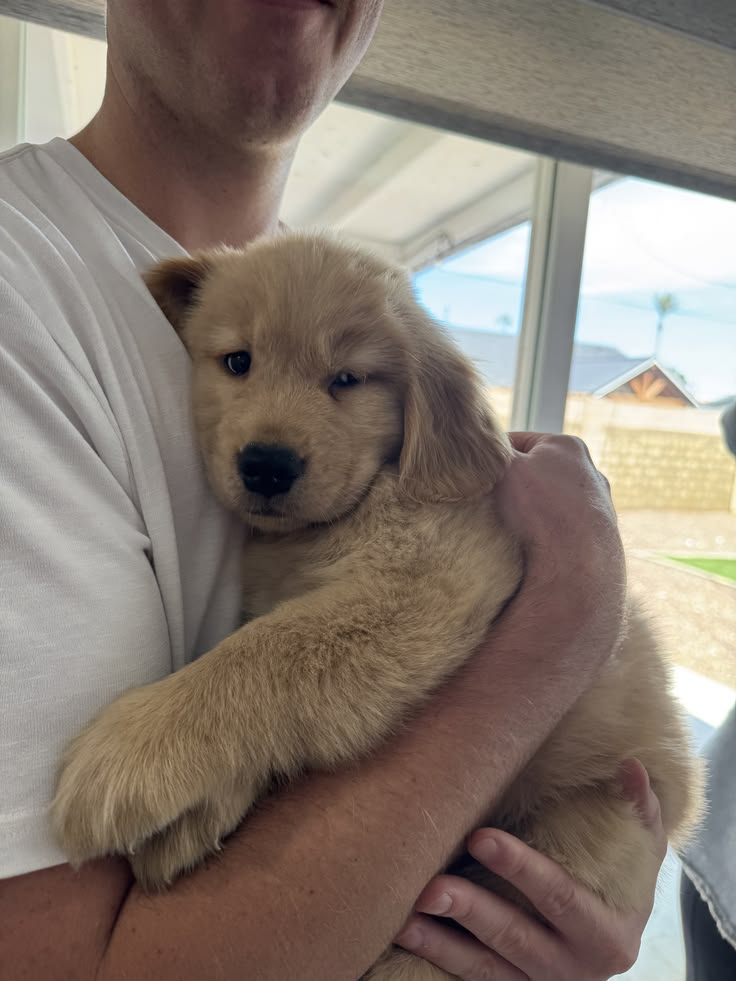Simba 4